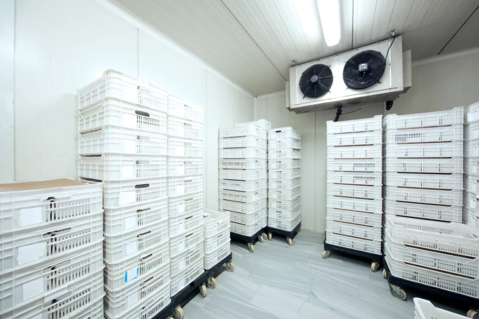 A room filled with numerous boxes and a ceiling fan